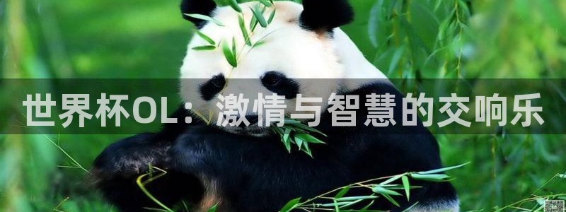 世界杯比赛时间:世界杯OL:激情与智慧的交响乐
