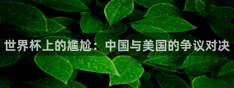 世界杯2026赛制:世界杯上的尴尬:中国与美国的争议对决