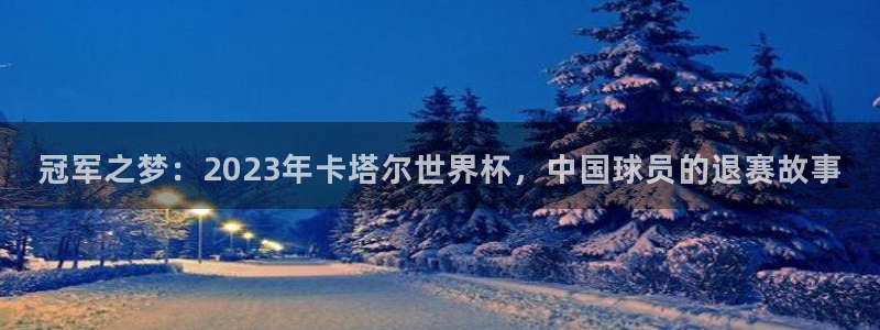 世界杯预选赛欧洲区赛程:冠军之梦:2023年卡塔尔世界杯,中国球员的退赛故事