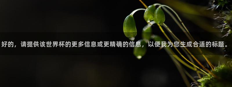 世界杯48支球队赛制:好的,请提供该世界杯的更多信息或更精确的信息,以便我为您生成合适的标题。