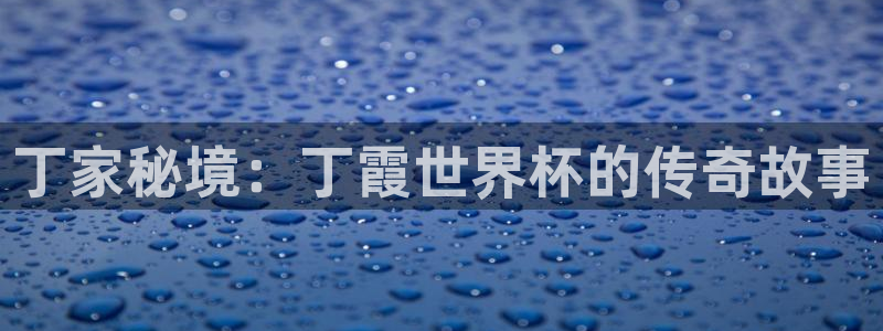欧联杯直播:丁家秘境:丁霞世界杯的传奇故事
